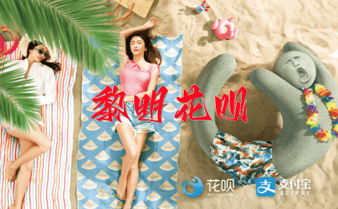 不识泰山花呗